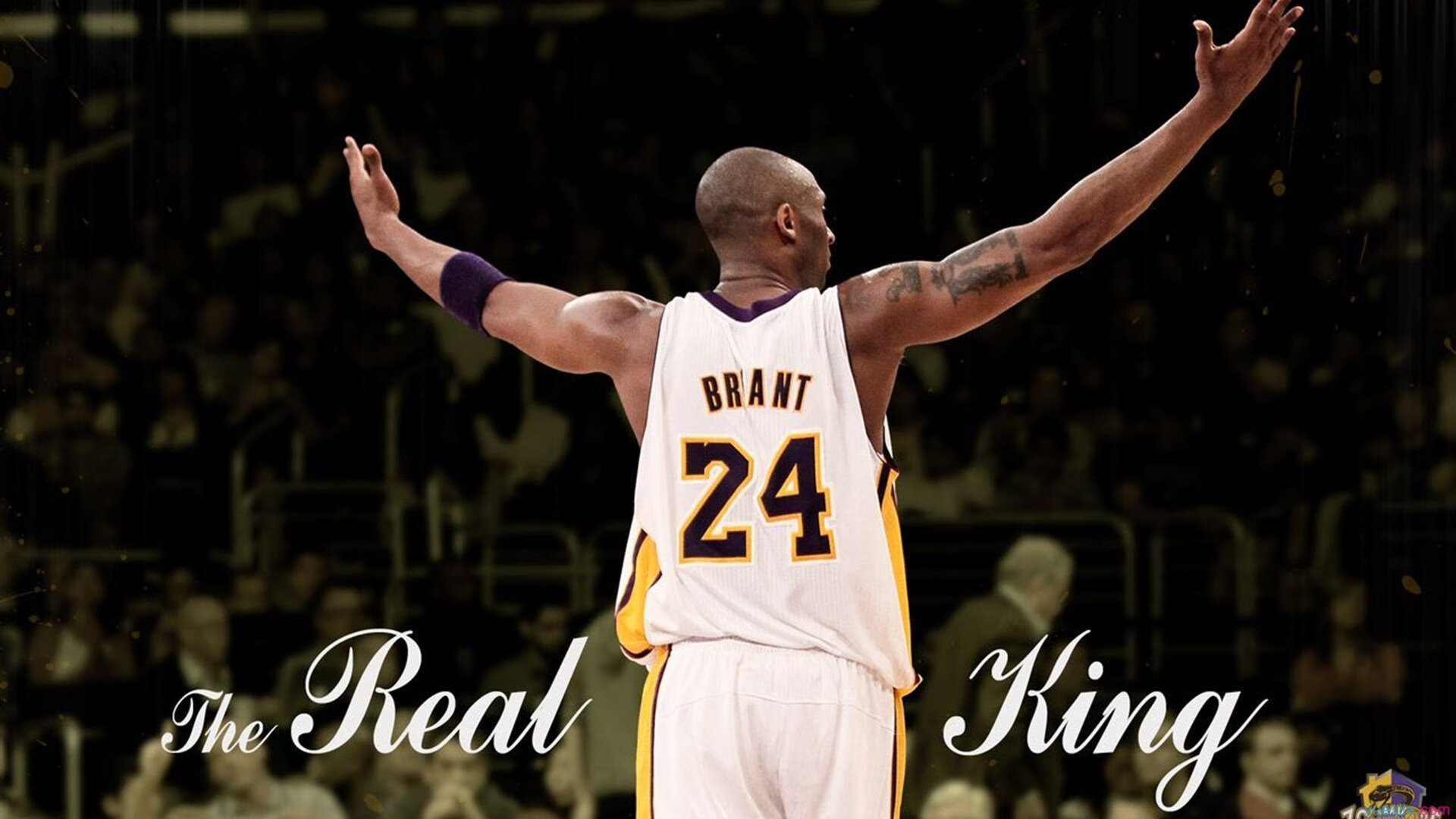 体育馆智能检票系统实现无人化管理，体育场馆智慧化